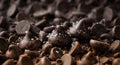 Salted Dark Chocolate Chip